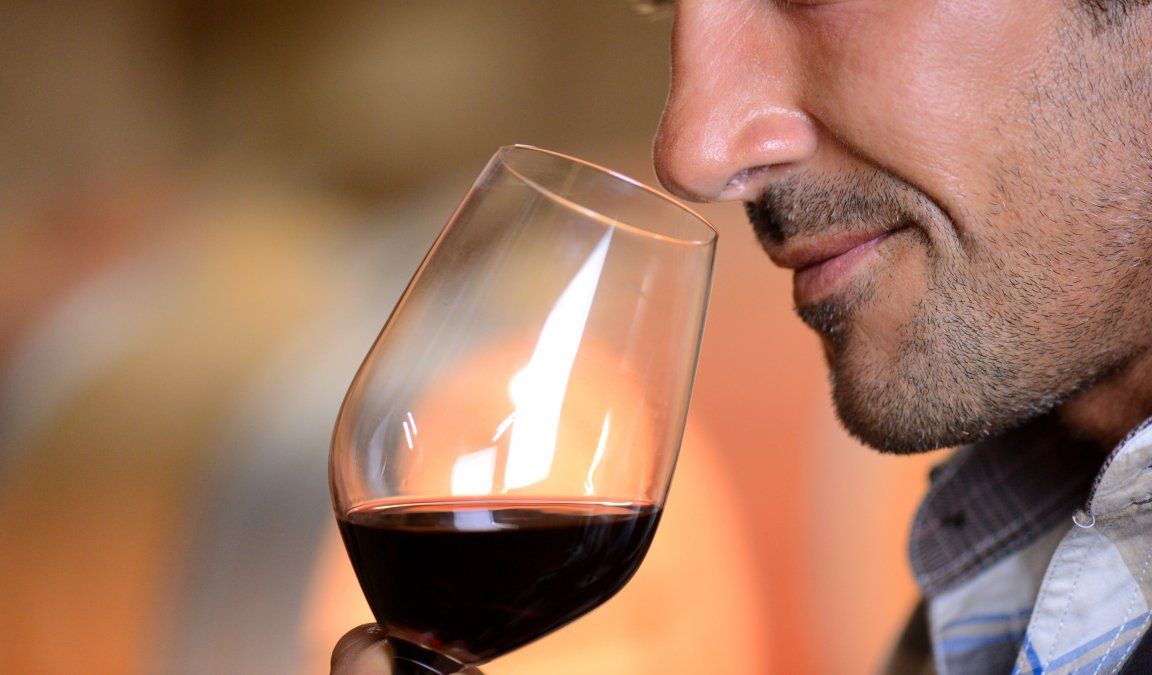 El vino tinto cuenta en su composición con una serie de antioxidantes llamados polifenoles.