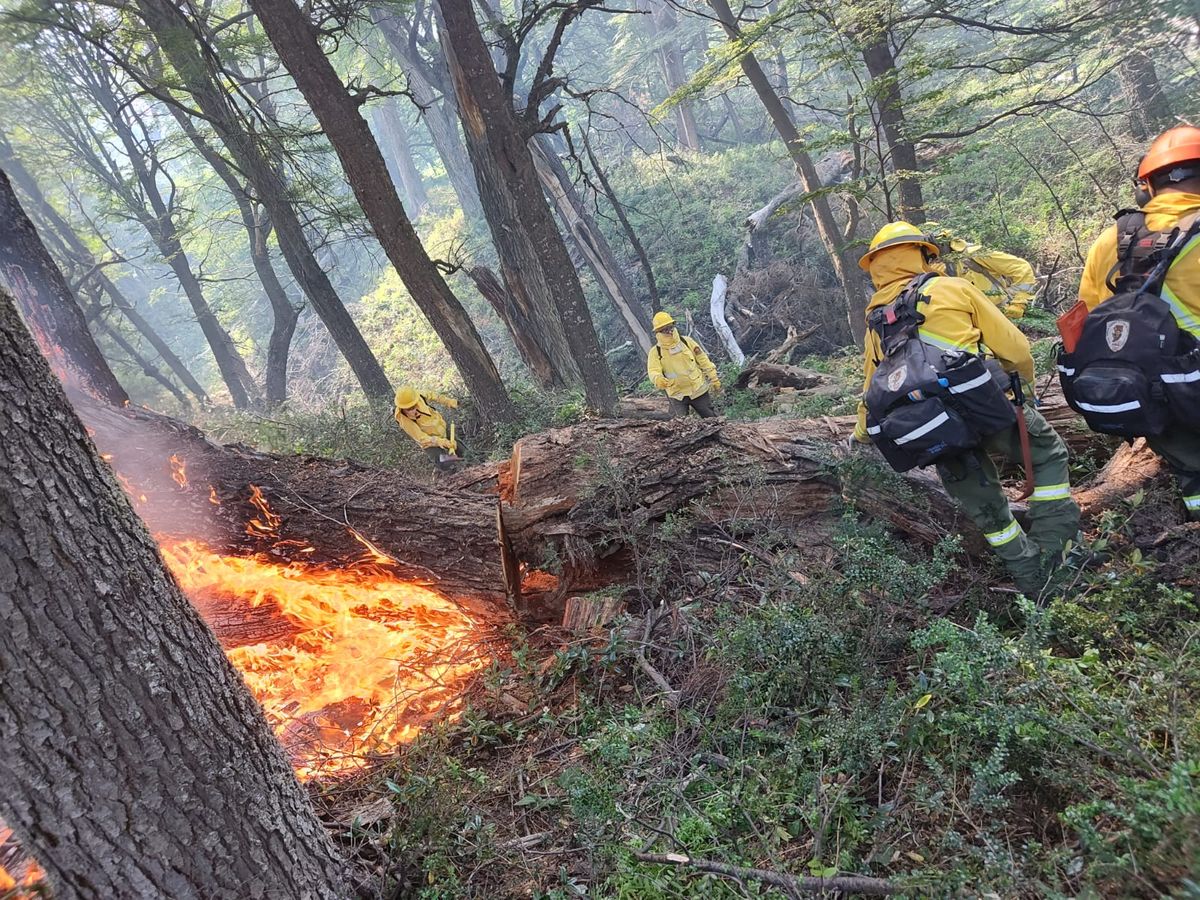 Más allá de los brigadistas