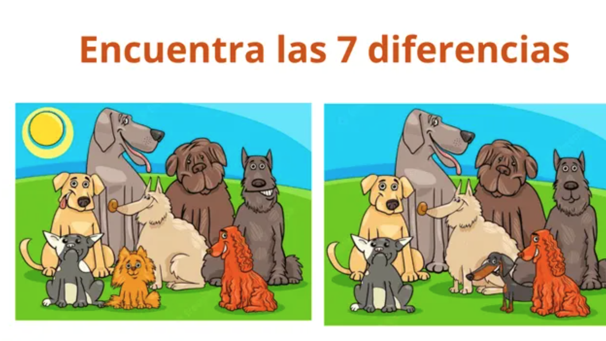 Reto Visual Descubrí Las 7 Diferencias ¡en 9 Segundos 