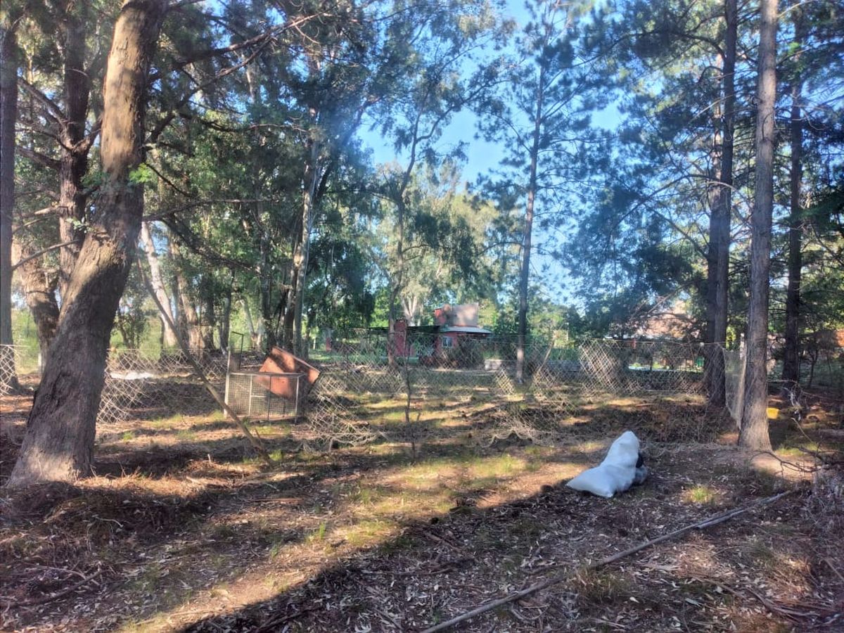 Malla protectora que cubre el eventual escape del puma. Malla protectora que cubre el eventual escape del puma.