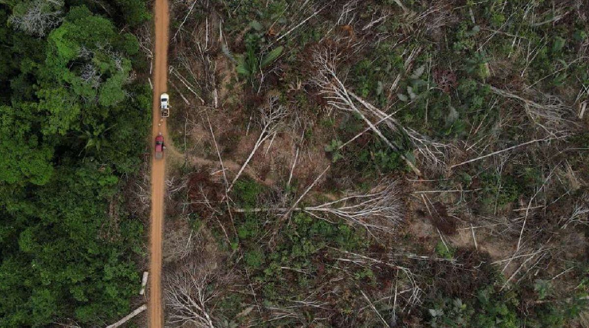 Los datos usados se obtuvieron a partir del recojo de 590 muestras de aire tomadas en cuatro puntos de la Amazonía brasileña entre 2010 y 2018.