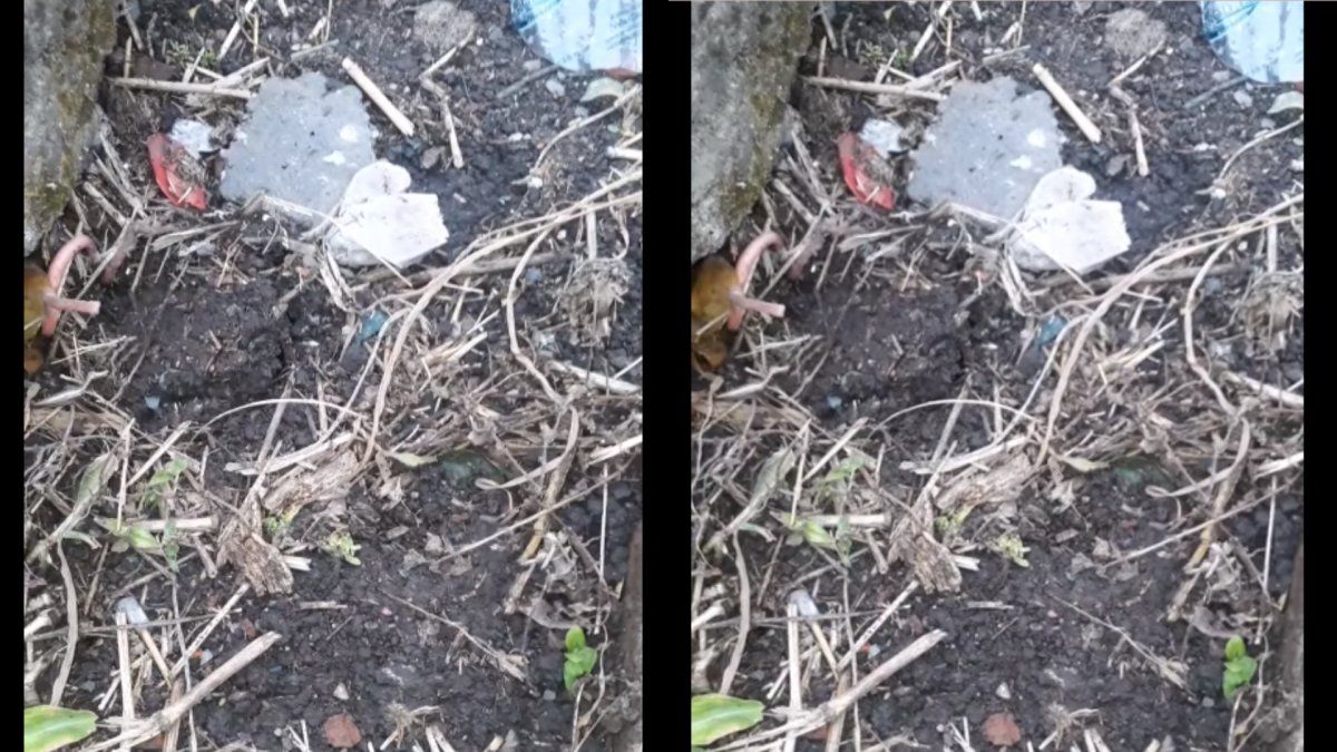 Aterrador: tucumana fue a visitar la tumba de su hermanito y la tierra comenzó a moverse sola&nbsp;