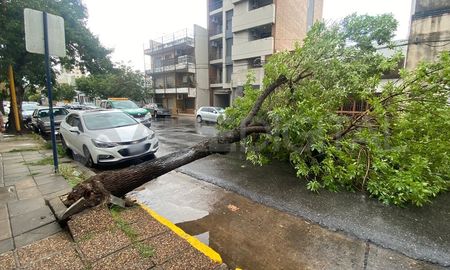 Un fuerte temporal azotó a la ciudad de Santa Fe por un breve lapso de tiempo. Un fuerte temporal azotó a la ciudad de Santa Fe por un breve lapso de tiempo.