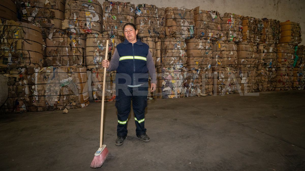 María asegura que su trabajo le da todo lo que tiene. “Yo críe a mi hijo con esto y lo estoy criando a mi nieto ahora. Toda mi vida fue así”, cuenta. María asegura que su trabajo le da todo lo que tiene. “Yo críe a mi hijo con esto y lo estoy criando a mi nieto ahora. Toda mi vida fue así”, cuenta.