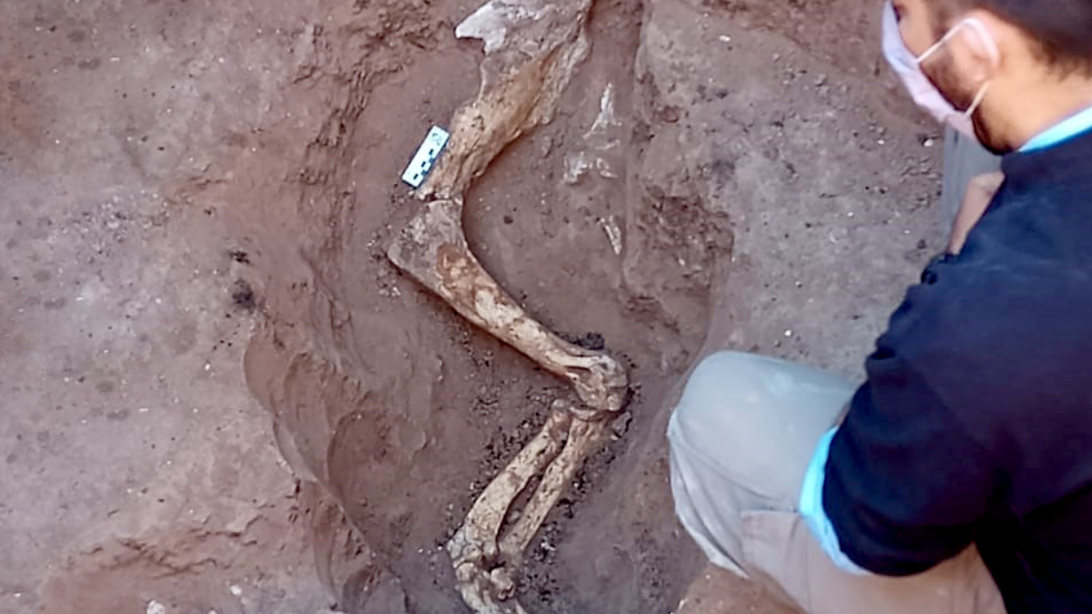 El Ministerio de Cultura de Santa Fe trabaja en la protección del patrimonio histórico y natural de la provincia. El Ministerio de Cultura de Santa Fe trabaja en la protección del patrimonio histórico y natural de la provincia.