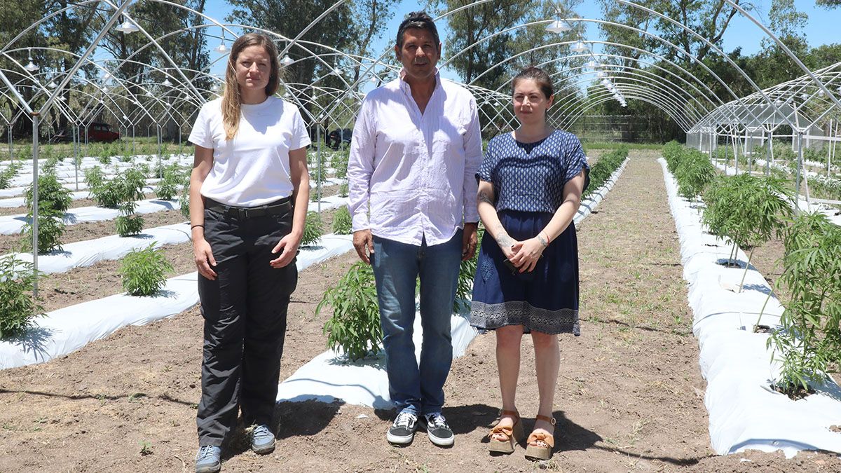 La provincia recibió en el Centro de Investigación y Desarrollo de Cannabis Medicinal al director del Instituto Nacional de Semillas (INASE) y miembro del comité del Ente Regulador de Cannabis (ARICCAME), Gabriel Giménez.