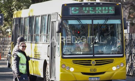 Uta en estado de alerta Uta en estado de alerta