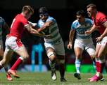 Los Pumas vencen a Gales 33 a 11 y terminan invictos en la gira europea Los Pumas vencen a Gales 33 a 11 y terminan invictos en la gira europea