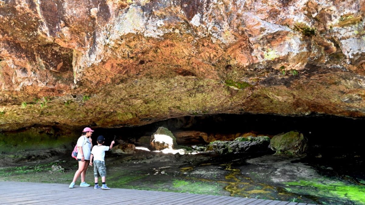 El sistema de cavernas de la Salamanca alberga una de las mayores reservas ecol&oacute;gicas de la zona, protegiendo especies de helechos y fauna que solo prosperan en climas de alta humedad.