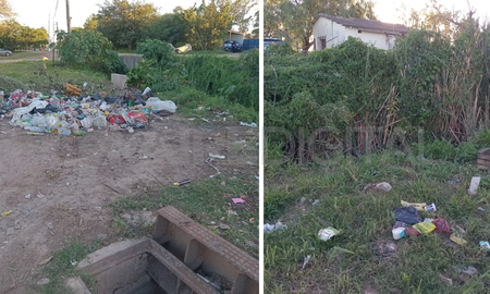 Basura y pastizales altos: la preocupación de los vecinos de Ciudadela Norte. Basura y pastizales altos: la preocupación de los vecinos de Ciudadela Norte.