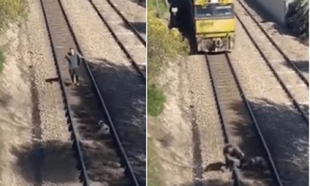 Video viral: joven salvó a un perro que estaba atrapado en las vías de tren. Video viral: joven salvó a un perro que estaba atrapado en las vías de tren.