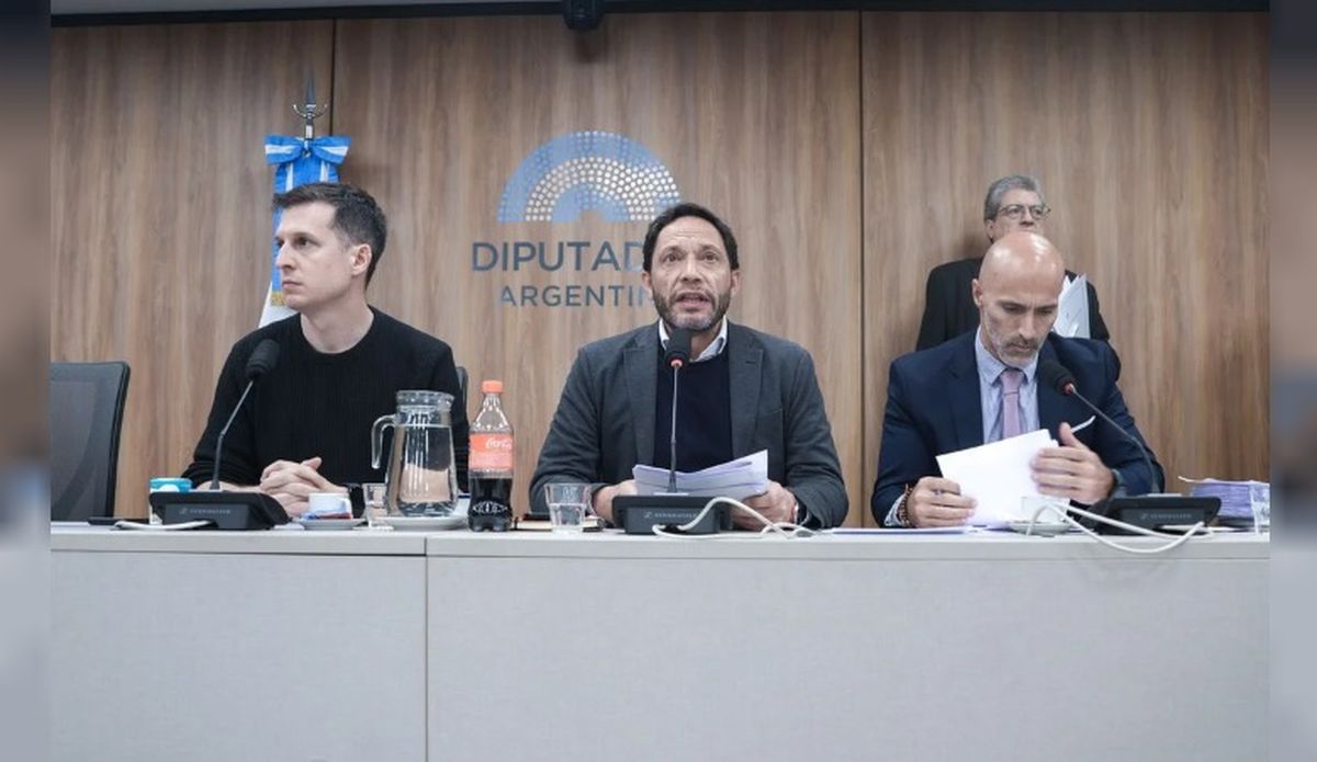 La comisión de la Cámara de Diputados presentará su informe final sobre el caso Libra.