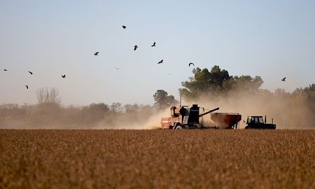 fuerte reclamo de la sociedad rural de rosario a milei: no hay futuro con retenciones fuerte reclamo de la sociedad rural de rosario a milei: no hay futuro con retenciones