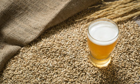 Levadura de cerveza: origen, propiedades y beneficios Levadura de cerveza: origen, propiedades y beneficios