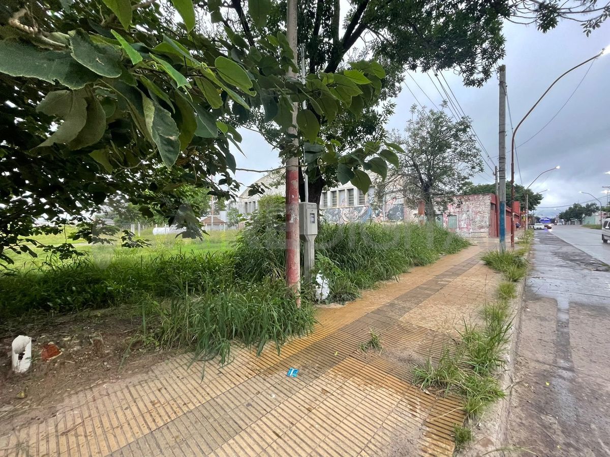 El centro cultural se encuentra rodeado por pastizales altos que impiden a los vecinos transitar con seguridad por el lugar. El centro cultural se encuentra rodeado por pastizales altos que impiden a los vecinos transitar con seguridad por el lugar.