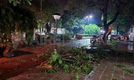 El temporal dejó calles cortadas por árboles y ramas caídas y gran parte del servicio eléctrico sin funcionar. El temporal dejó calles cortadas por árboles y ramas caídas y gran parte del servicio eléctrico sin funcionar.
