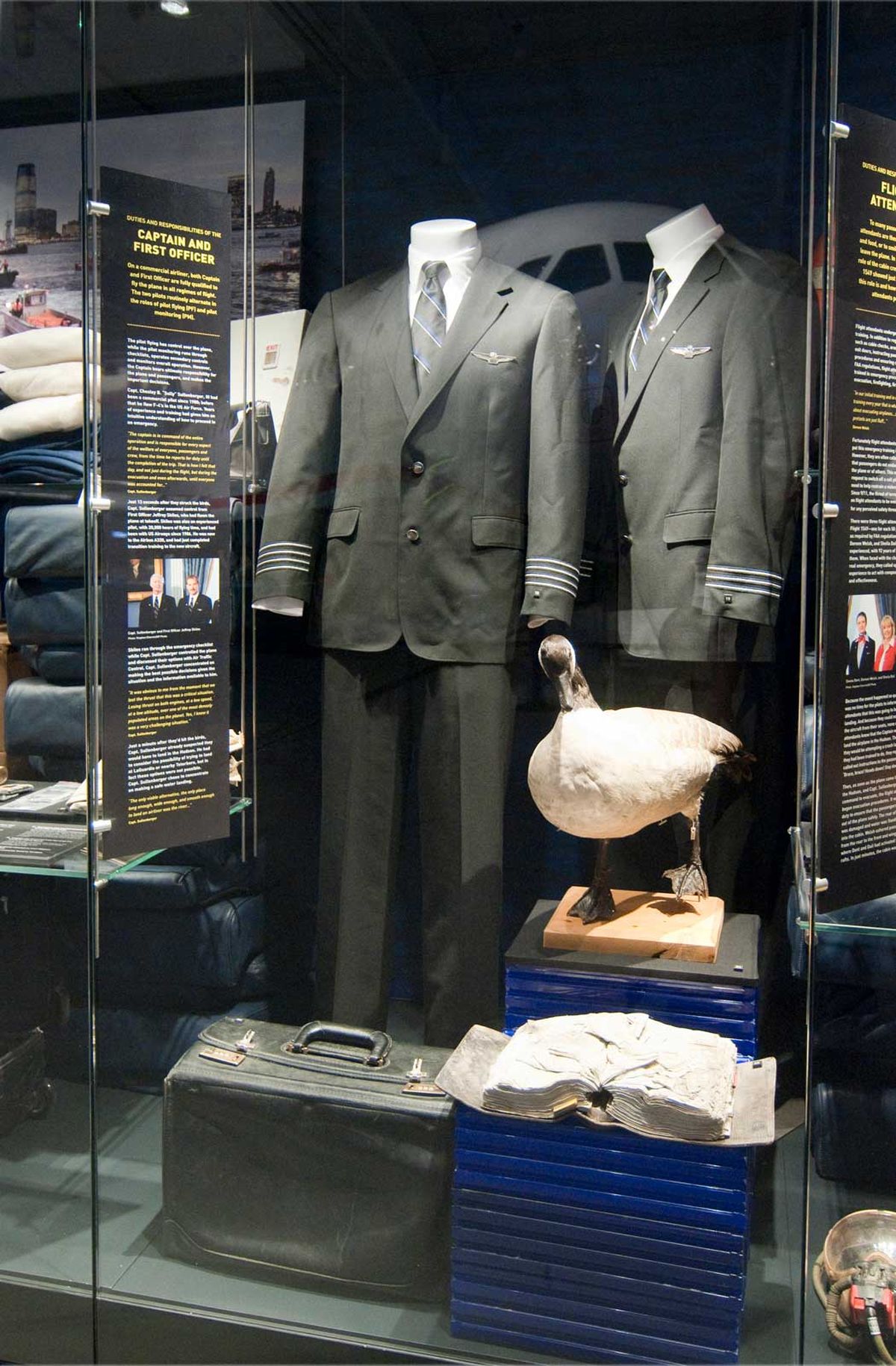 Los uniformes de Sullenberger (izquierda) y Skiles, junto con un maletín de vuelo y un manual de la aeronave, junto con un ganso de Canadá embalsamado (como los que ingestaron tras el despegue), son exhibidos en el Carolinas Aviation Museum. Los uniformes de Sullenberger (izquierda) y Skiles, junto con un maletín de vuelo y un manual de la aeronave, junto con un ganso de Canadá embalsamado (como los que ingestaron tras el despegue), son exhibidos en el Carolinas Aviation Museum.