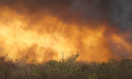 Desde hace semanas, incendios forestales arrasan el Gran Chaco y la Amazonía. Desde hace semanas, incendios forestales arrasan el Gran Chaco y la Amazonía.