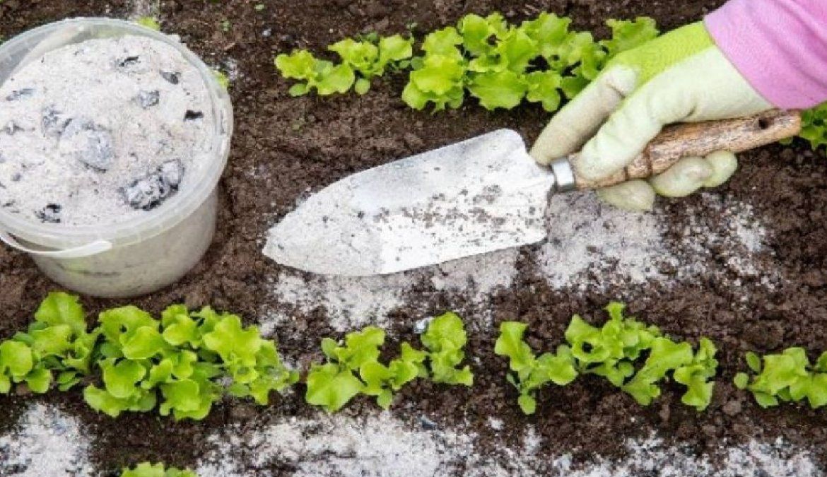 Las cenizas le otorgan minerales al suelo&nbsp;