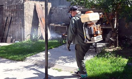 En el verano de 2025 se registraron menos de 600 casos de dengue en Santa Fe, contra más de 21.000 en el mismo período de 2024.