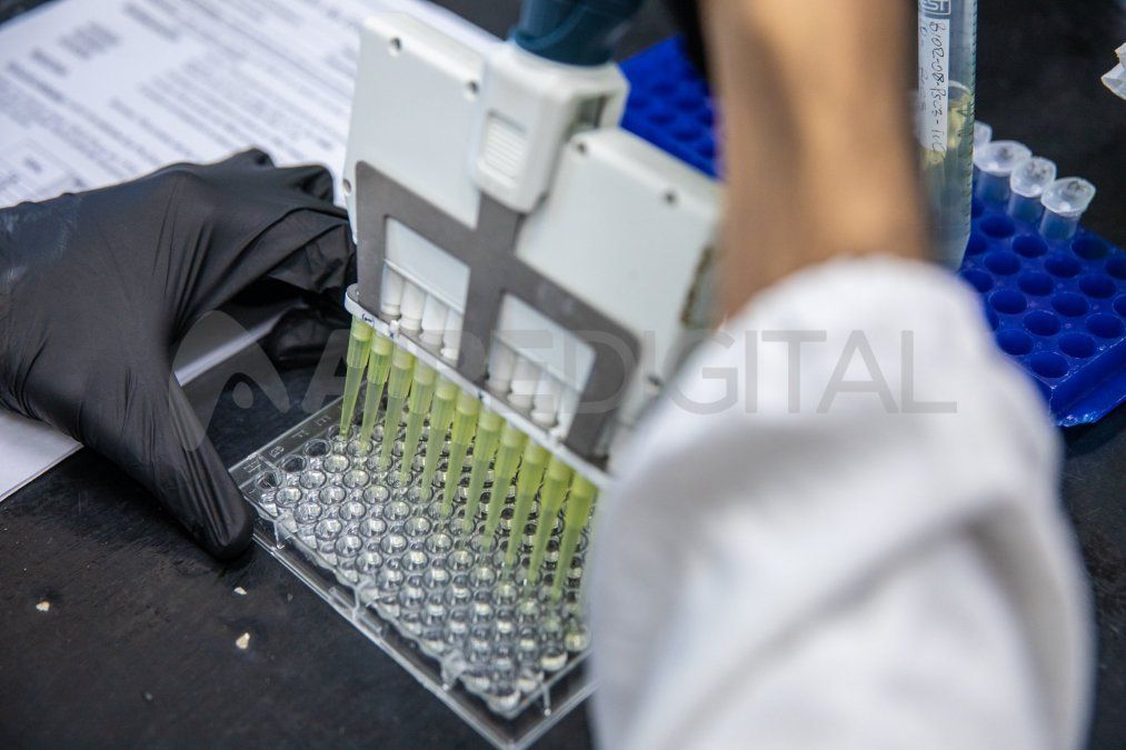 La UNL produce la vacuna junto al Conicet y las empresas Cellargen Biotech SRL y Biotecnofe SA. 