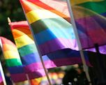 Seis deportistas de elite de Francia reconocieron su homosexualidad y revolucionaron el mundo del deporte.