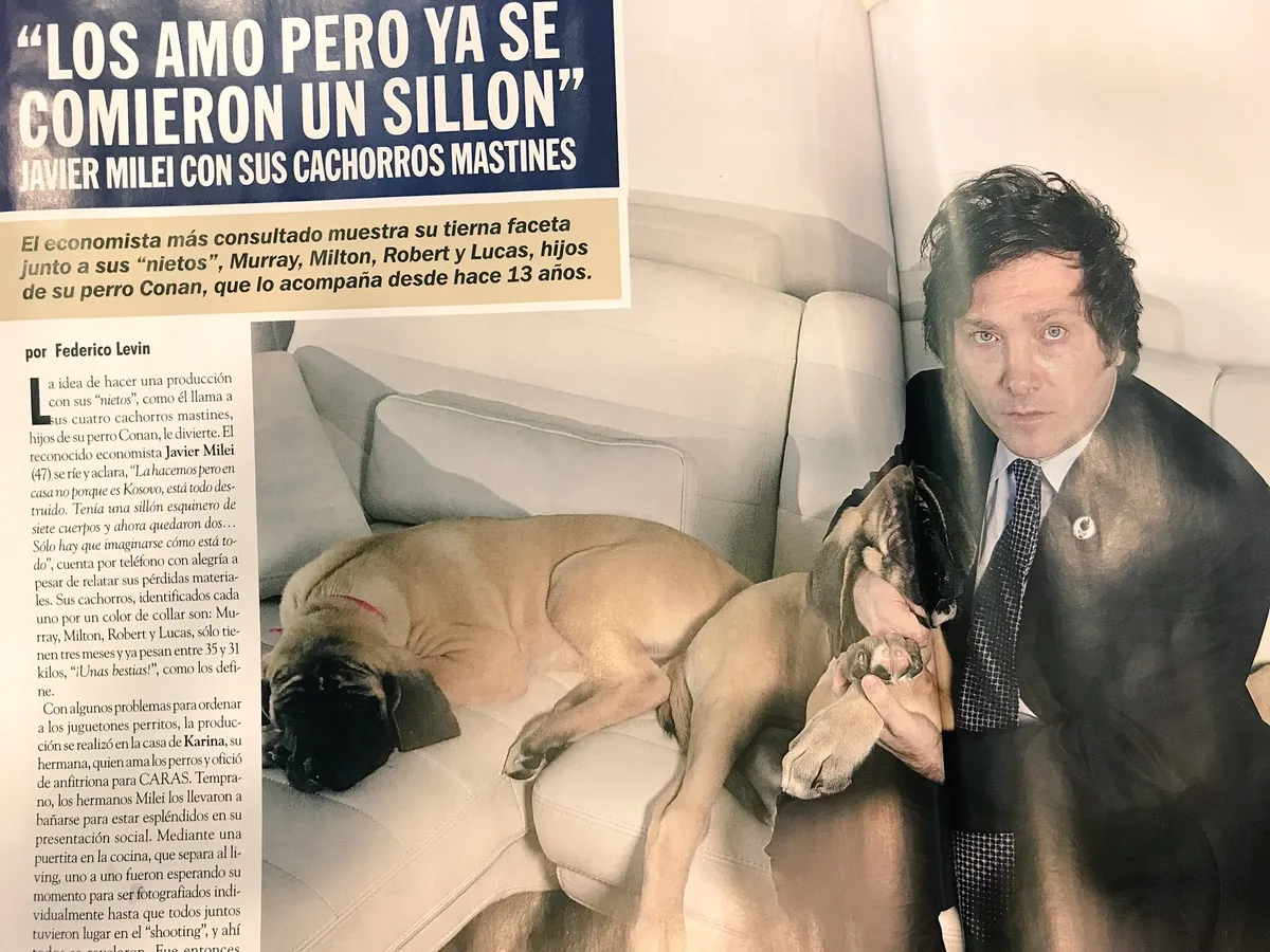 Javier Milei tiene varios perros hijos de su mascota Conan. Javier Milei tiene varios perros hijos de su mascota Conan.