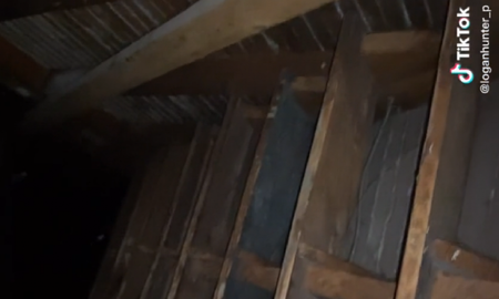 Video viral: descubrió una aterradora habitación secreta detrás de una pared de su hogar. Video viral: descubrió una aterradora habitación secreta detrás de una pared de su hogar.