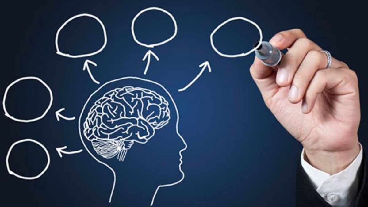ncorporar neurociencias mejora la productividad y el trabajo en equipo. ncorporar neurociencias mejora la productividad y el trabajo en equipo.