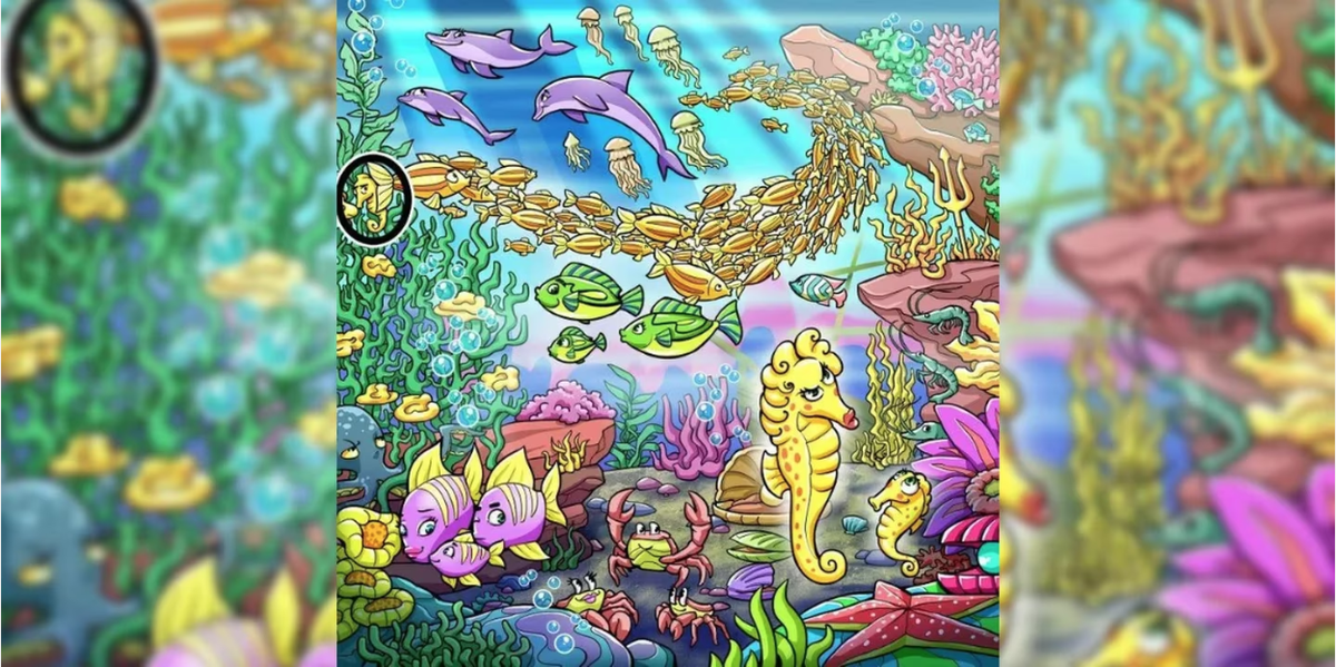 Solución: acá está el caballito de mar