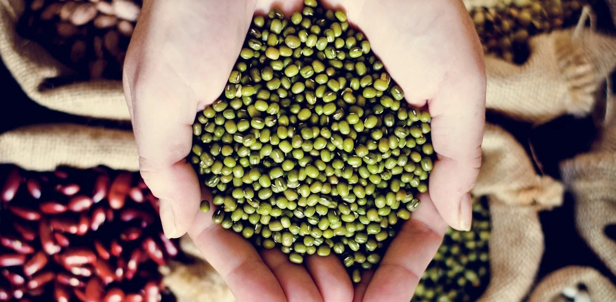 Ritual de Año Nuevo 2023: ¿Cuáles son los 7 granos de la abundancia?