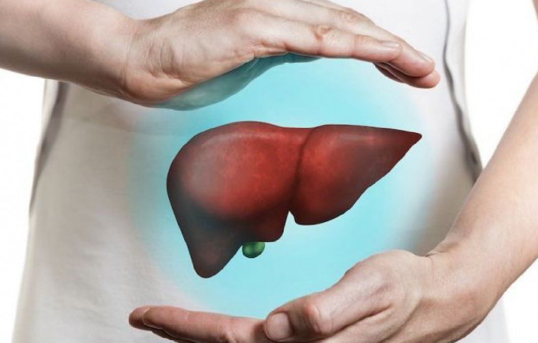 Plantas medicinales para cuidar el hígado