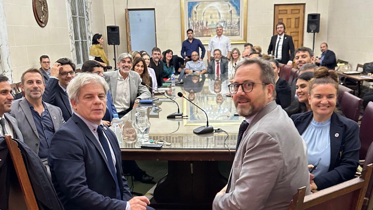 Los objetivos principales de la RAFA incluyen la facilitación del intercambio de información relevante sobre protección del ambiente y delitos ambientales. Los objetivos principales de la RAFA incluyen la facilitación del intercambio de información relevante sobre protección del ambiente y delitos ambientales.