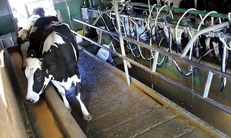 santa fe: productores e industrias lacteas buscaran consensos en el marco de funpel