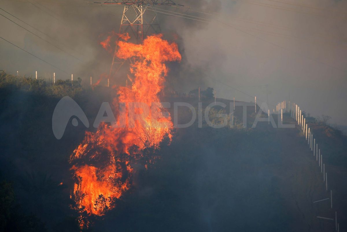 Incendios arrasan viviendas en la turística ciudad de Viña del Mar.