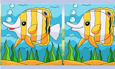 RETO VISUAL nivel PRO: solo el 2% encontró las 3 diferencias ¡en 7 segundos! RETO VISUAL nivel PRO: solo el 2% encontró las 3 diferencias ¡en 7 segundos!
