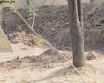 donde esta el leopardo: el reto que volvio a ser viral donde esta el leopardo: el reto que volvio a ser viral