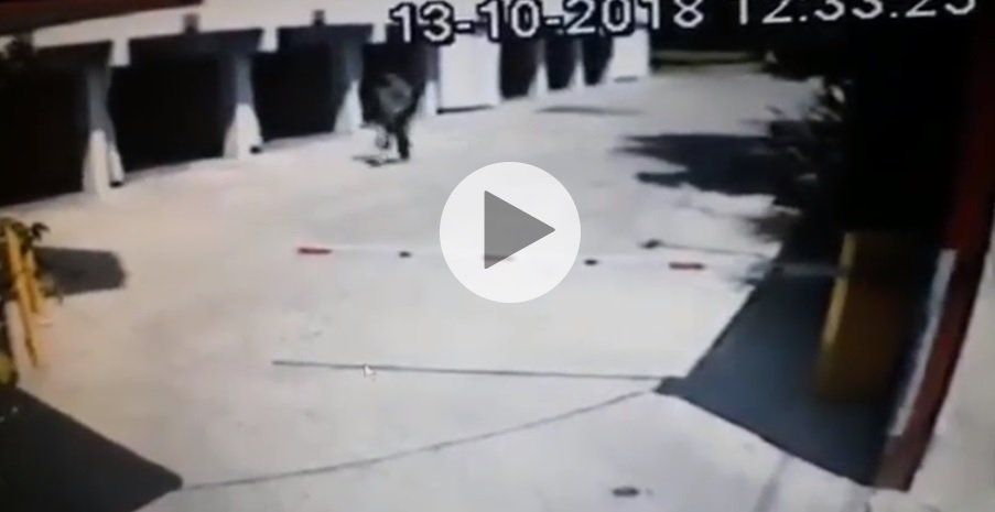 Revelan un video clave en el caso de la embarazada que murió en el hotel alojamiento