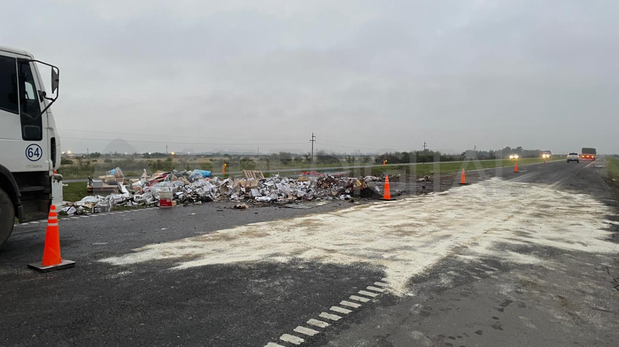 El camión volcó a la altura del km 132 de la autopista Santa Fe-Rosario
