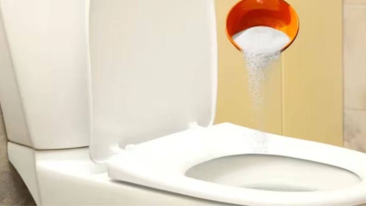 La sal elimina olores y bacterias en la base del inodoro.