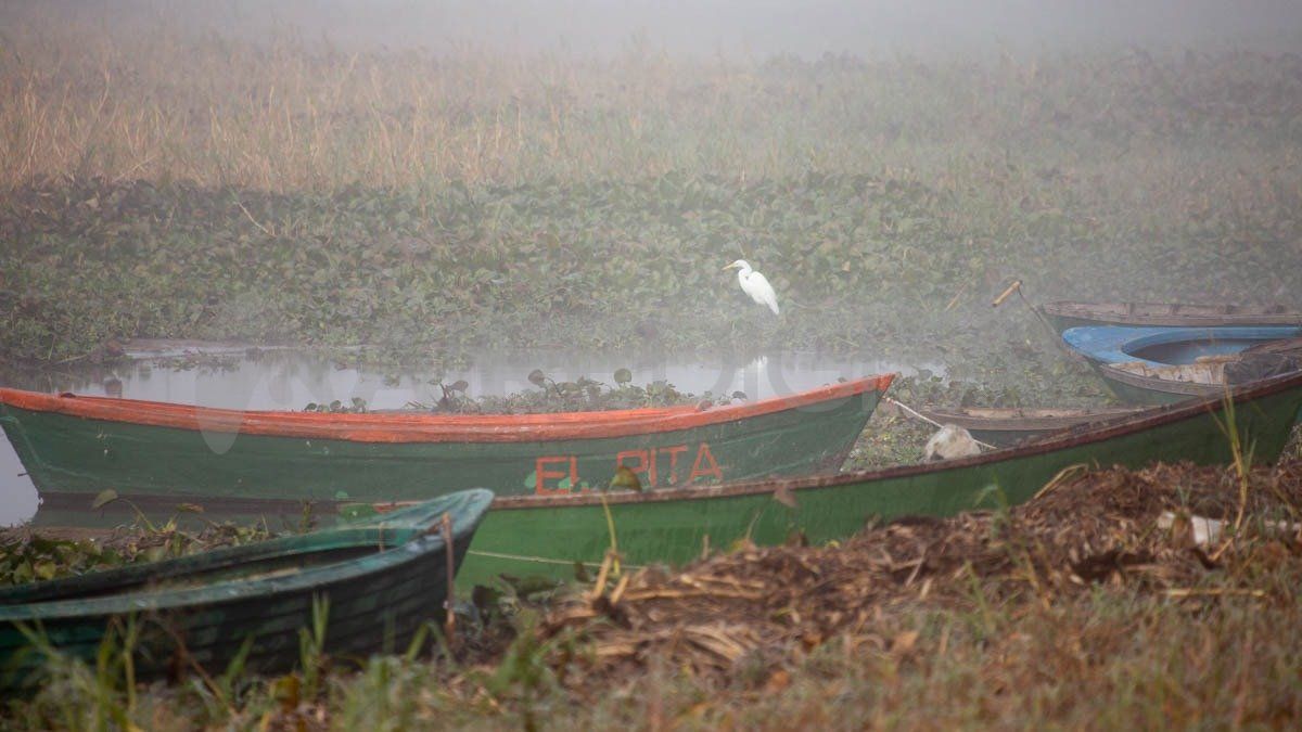 La postal del arroyo Calchines desde la costa de Santa Rosa de Calchines en la bajante más importante en 51 años.