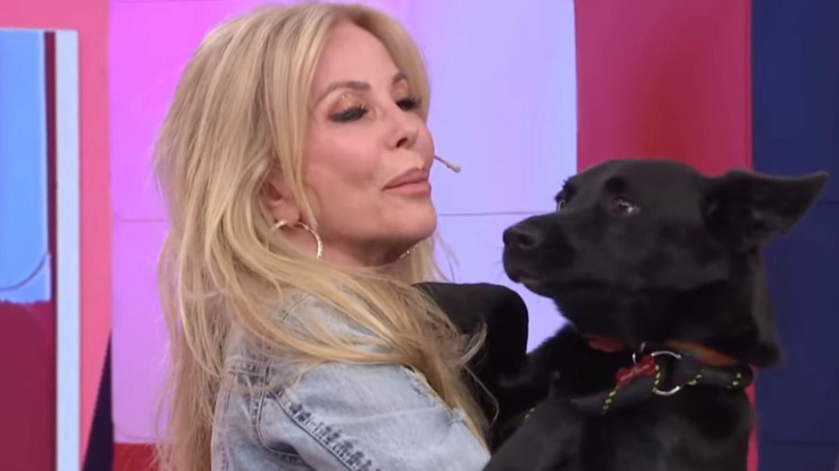 El perro de Graciela Alfano mordi&oacute; a un canillita.&nbsp;