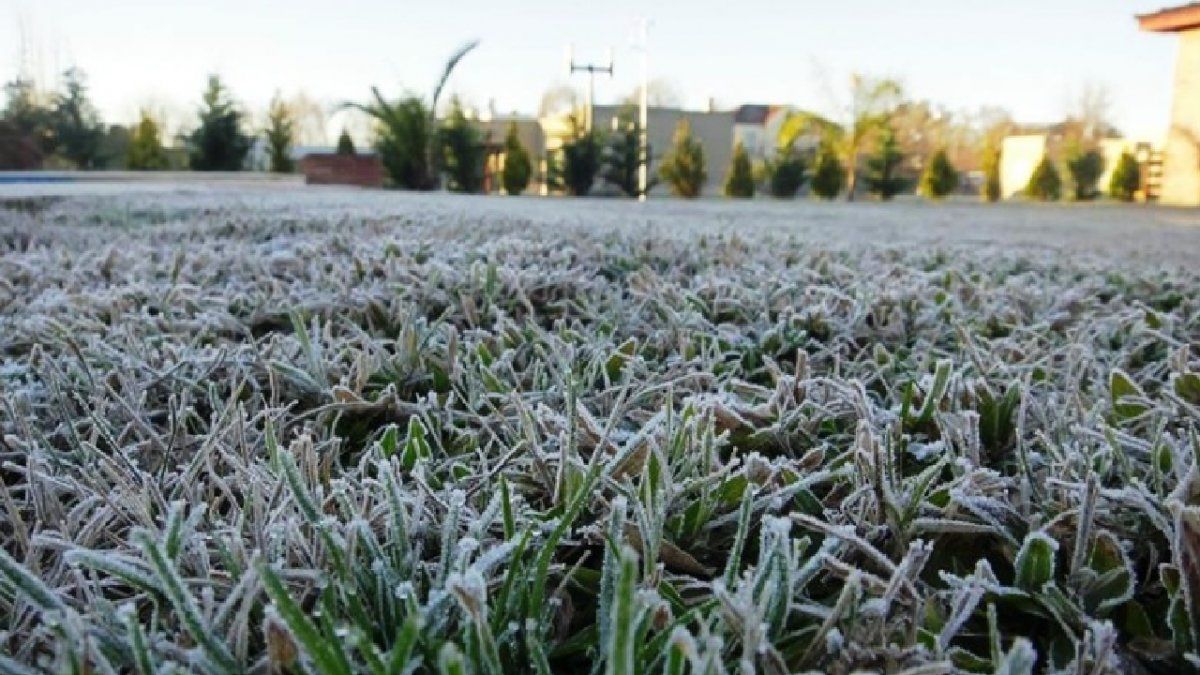 Frío polar y heladas en las huertas