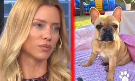 Nicole Neumann se mostró desesperada por encontrar a su perrita y le pidió ayuda a sus seguidores: ¡Shiva te estamos buscando! Nicole Neumann se mostró desesperada por encontrar a su perrita y le pidió ayuda a sus seguidores: ¡Shiva te estamos buscando!