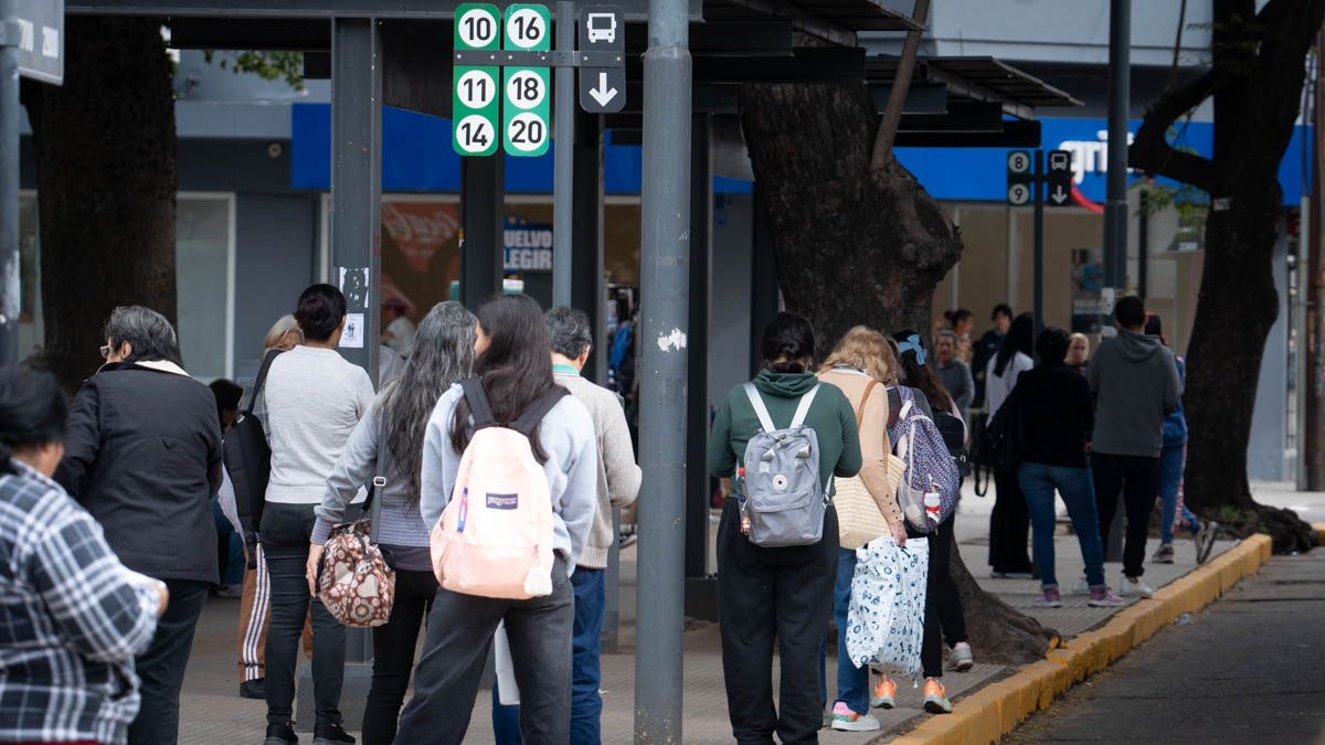 Uno de los aspectos centrales del informe es el análisis del impacto de las tarifas sobre los ingresos de los usuarios. Según el OST, una persona que viaja todos los días hábiles desde Funes a Rosario y percibe un salario mínimo destinaba en diciembre de 2023 el 8,31% de sus ingresos al transporte. En mayo de 2026 esa proporción escaló al 38,64%. Uno de los aspectos centrales del informe es el análisis del impacto de las tarifas sobre los ingresos de los usuarios. Según el OST, una persona que viaja todos los días hábiles desde Funes a Rosario y percibe un salario mínimo destinaba en diciembre de 2023 el 8,31% de sus ingresos al transporte. En mayo de 2026 esa proporción escaló al 38,64%.