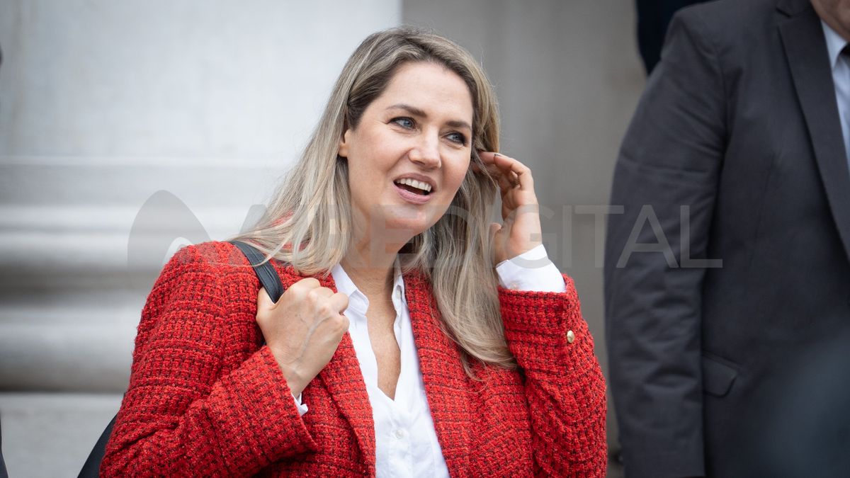 Carolina Losada remarcó que su bloque presentó un proyecto de ley para evitar que en el futuro se repitan estos casos. Carolina Losada remarcó que su bloque presentó un proyecto de ley para evitar que en el futuro se repitan estos casos. 