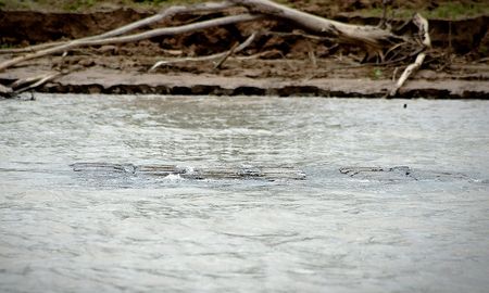 El lugar donde fue hallada la manta tras la bajante del río Paraná. El lugar donde fue hallada la manta tras la bajante del río Paraná.