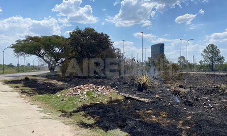 El incendio fue en la zona de los boliches, frente a la Ciudad Universitaria. El incendio fue en la zona de los boliches, frente a la Ciudad Universitaria.
