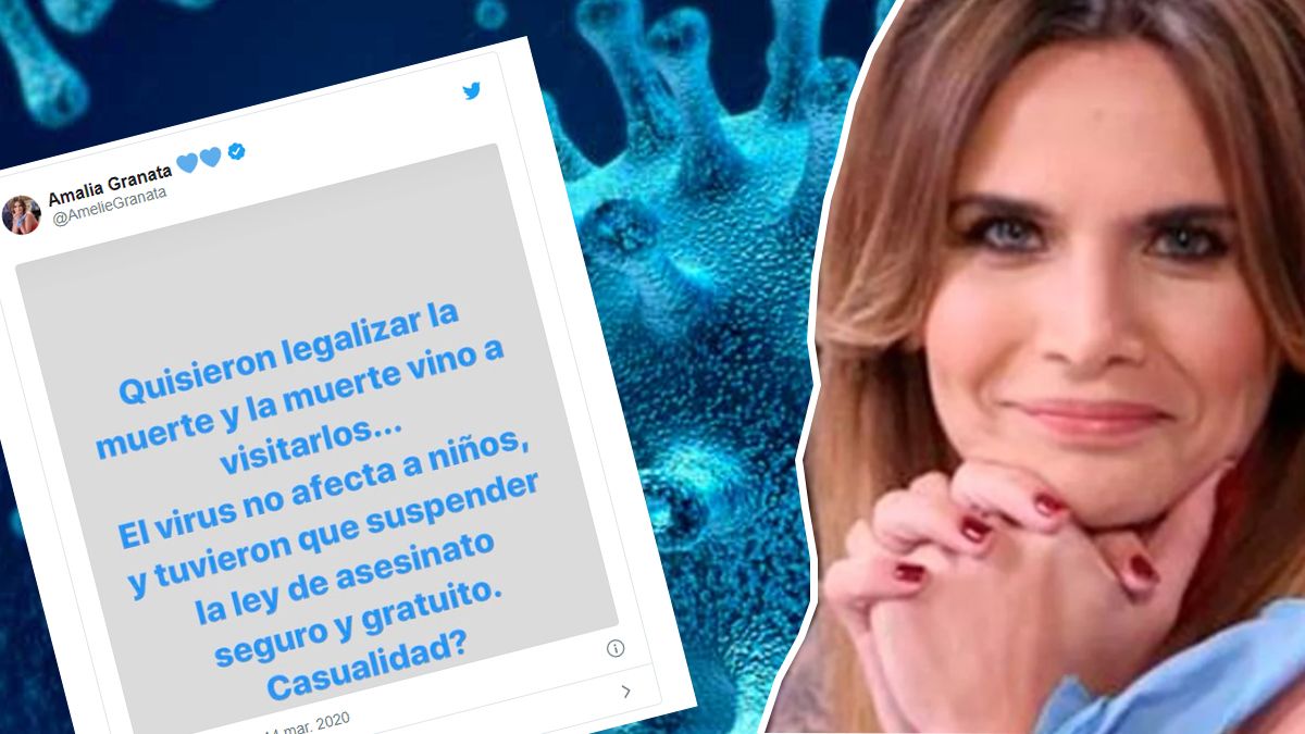 Aborto y coronavirus: la polémica publicación de Amalia Granata que hizo estallar Twitter