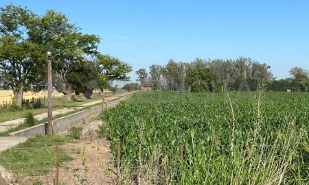 Violenta entradera a una familia de Paraje Ascochinga, en Monte Vera. Violenta entradera a una familia de Paraje Ascochinga, en Monte Vera.